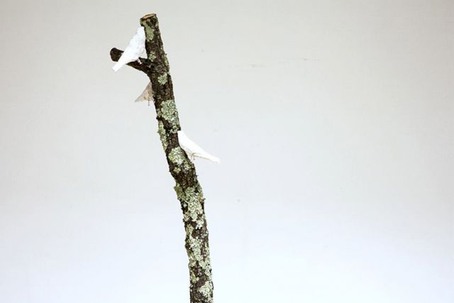 Mitsunori Kimura, ’The bird’s blind spot’, 2013 (photo: Silvia Noferi)