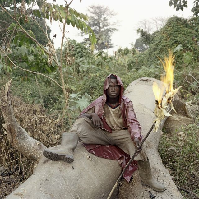 PIETER HUGO, Martin Kofi, Wild Honey Collector, 2005