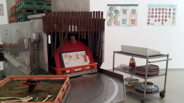 Installation view at The Genia Schreiber University Art Gallery, Tel Aviv University, Tel Aviv, Israel. Photo: Kristóf Joseph Steiner