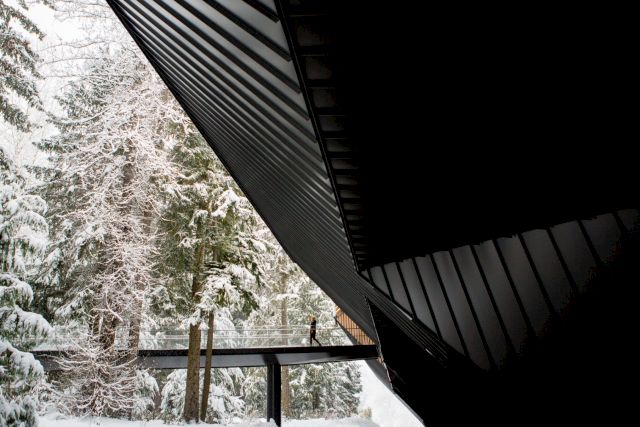 Image by Abby Cooper