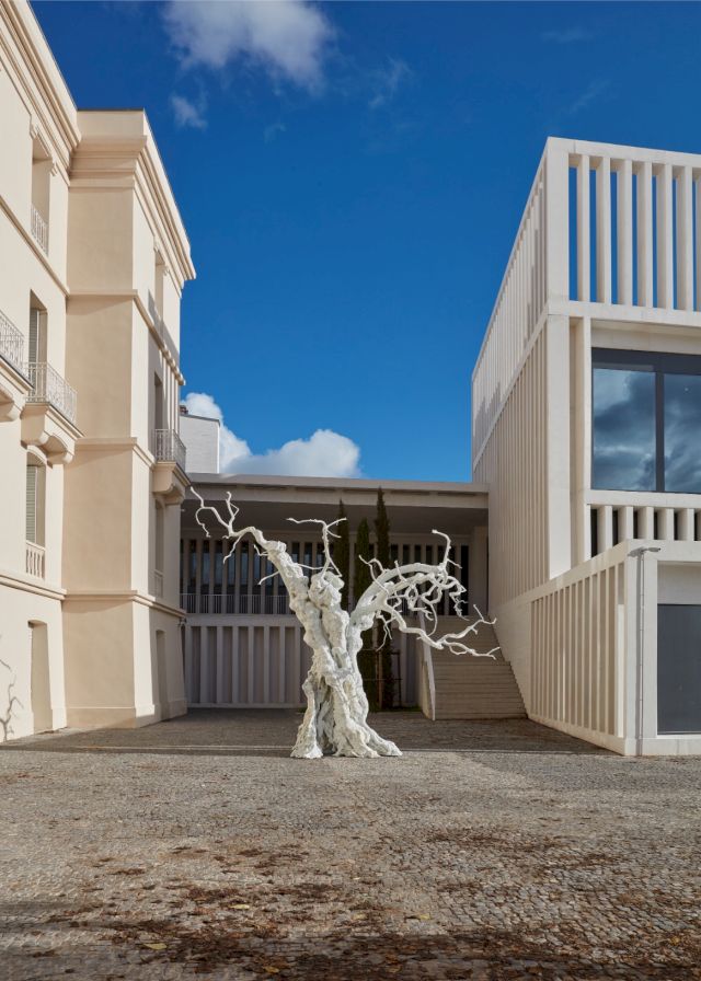 Photo of A Day Like This. Made of Nothing and Nothing Else (2009) Ugo Rondinone at Museum of Contemporary Art Helga de Alvear, Photo: Joaquín Cortés