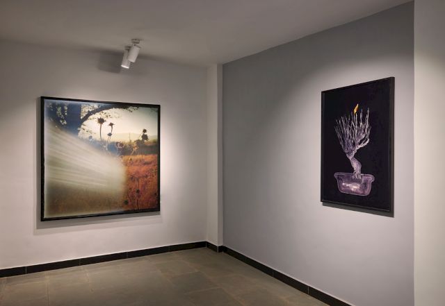 Installation View - Sunhil Sippy/ Oaxaca State, 2020; Neha Choksi/ Lone Orange, 2008, Copyright: The Artist