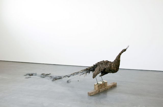 Petrit Halilaj, ’Poisoned by men in need of some love (Pavo cristatus)’, 2013. ©the artist. Courtesy Chert Gallery, Berlin