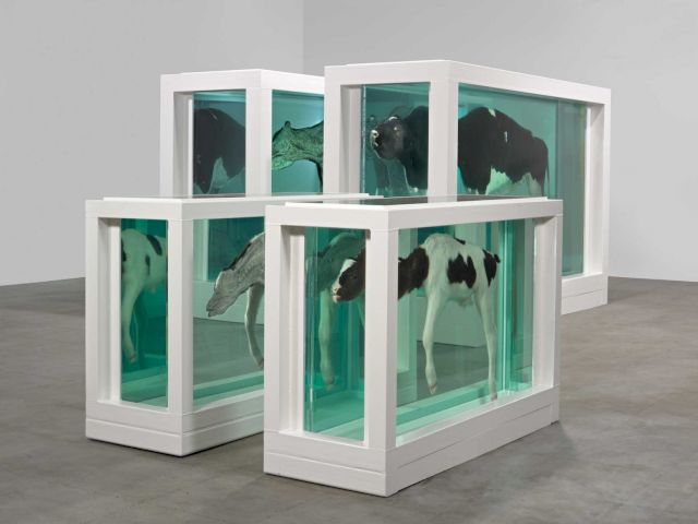 Damien Hirst, ’Mother and Child (Divided)’, 1993. © the artistt and Science Ltd. All Rights reserved, DACS 2011. Photo: Prudence Cuming Associates