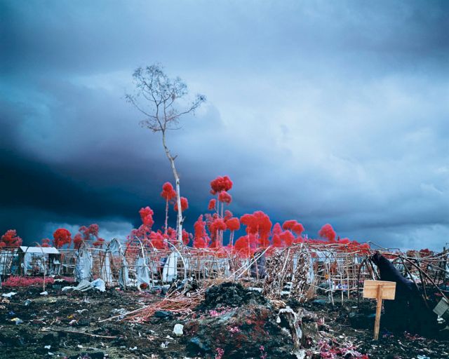 Richard Mosse, ’Tombstone Blues’, 2012. Courtesy the artist