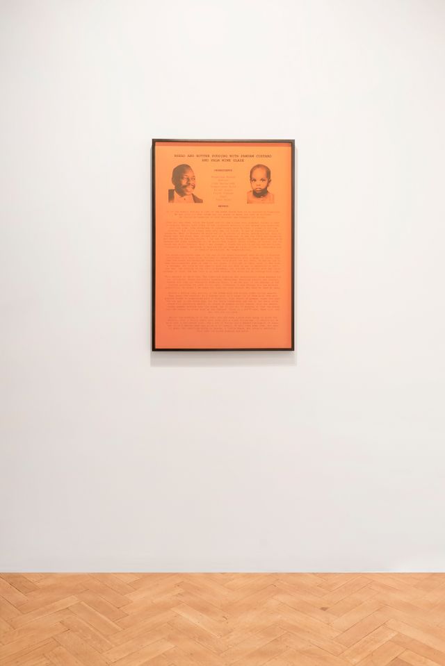 Installation view, Zina Saro-Wiwa, ’The Turquoise Meat Inside’, 2018