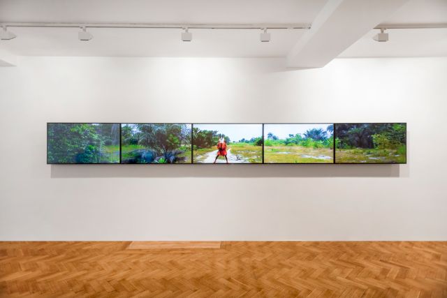 Installation view, Zina Saro-Wiwa, ’The Turquoise Meat Inside’, 2018