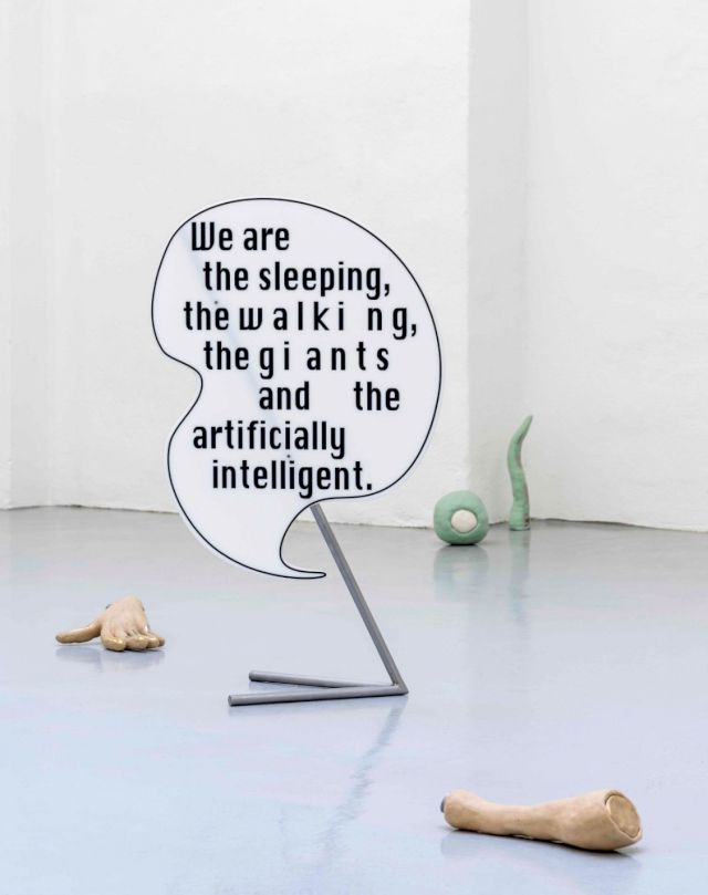 Barbara Kapusta, installation view The Giant, 2018. Photo: Justin Meekel